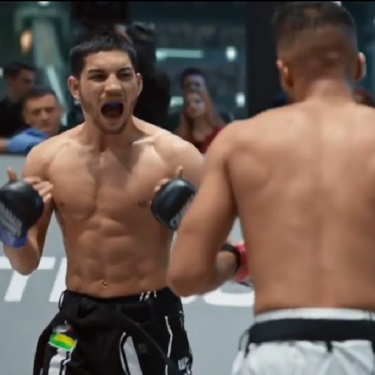 بازیکنان <a href=